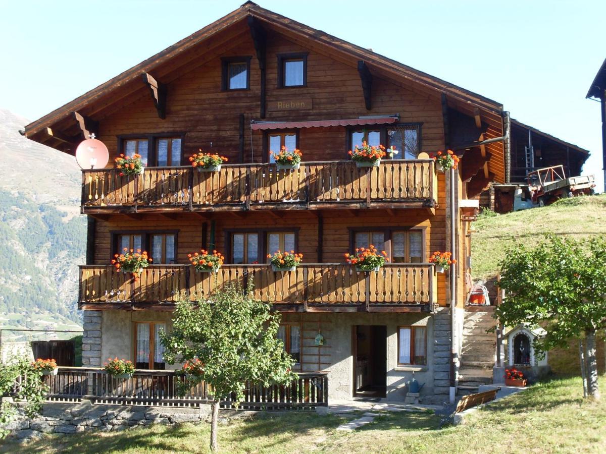 Riebe 331 Daire Grächen Dış mekan fotoğraf
