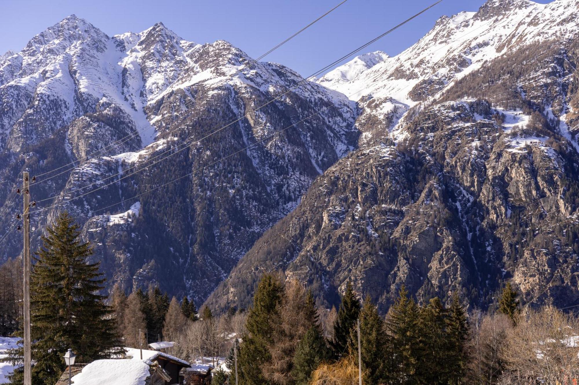 Riebe 331 Daire Grächen Dış mekan fotoğraf